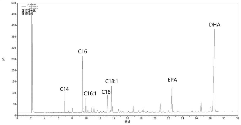 Method for enriching n-3 polyunsaturated fatty acids by enzymic method