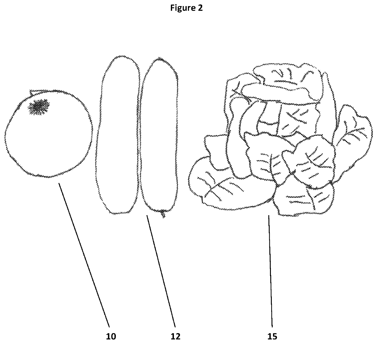 Composition and method for treating a hangover