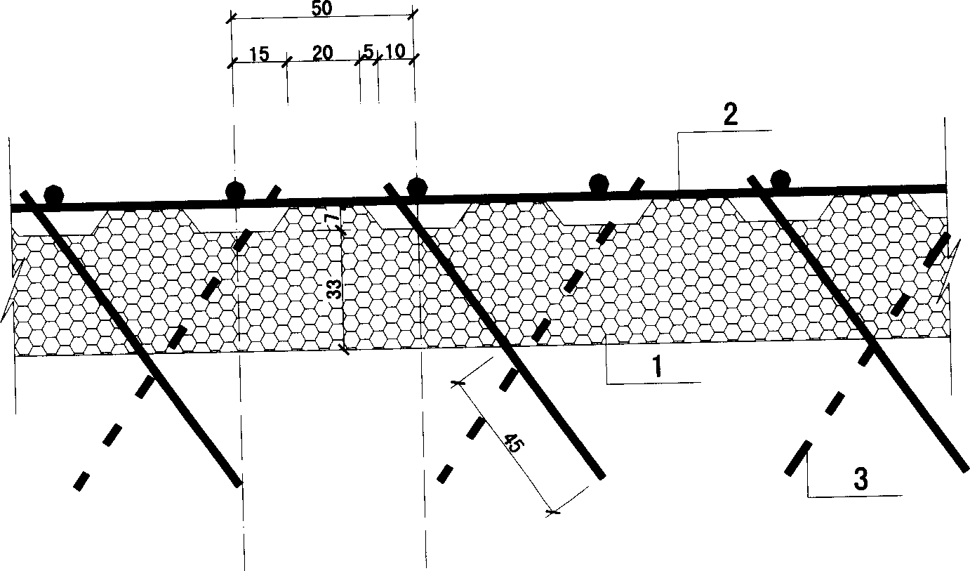 XPS board with steel wire mesh with oblique inserted wire