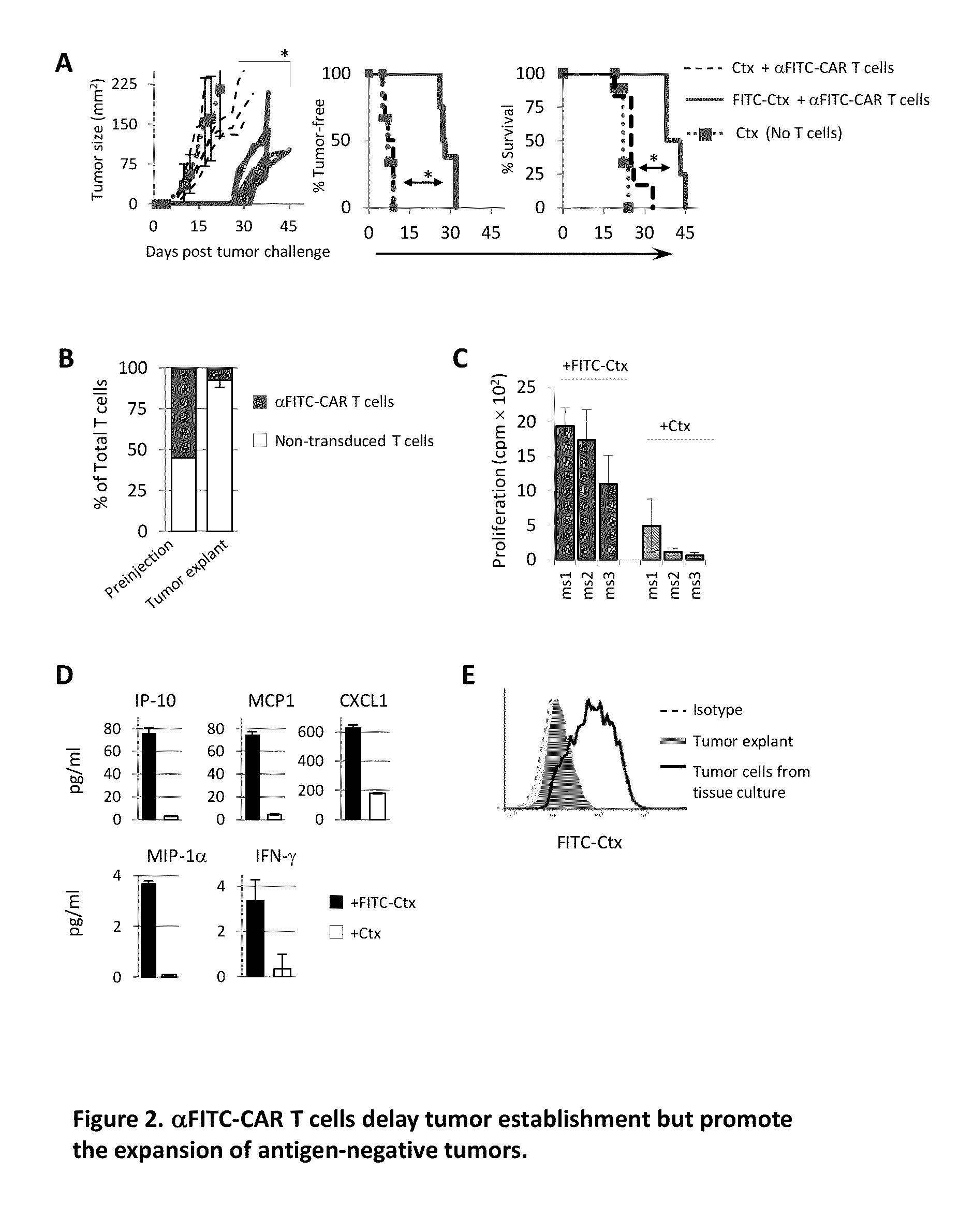 Universal anti-tag chimeric antigen receptor-expressing T cells and methods of treating cancer