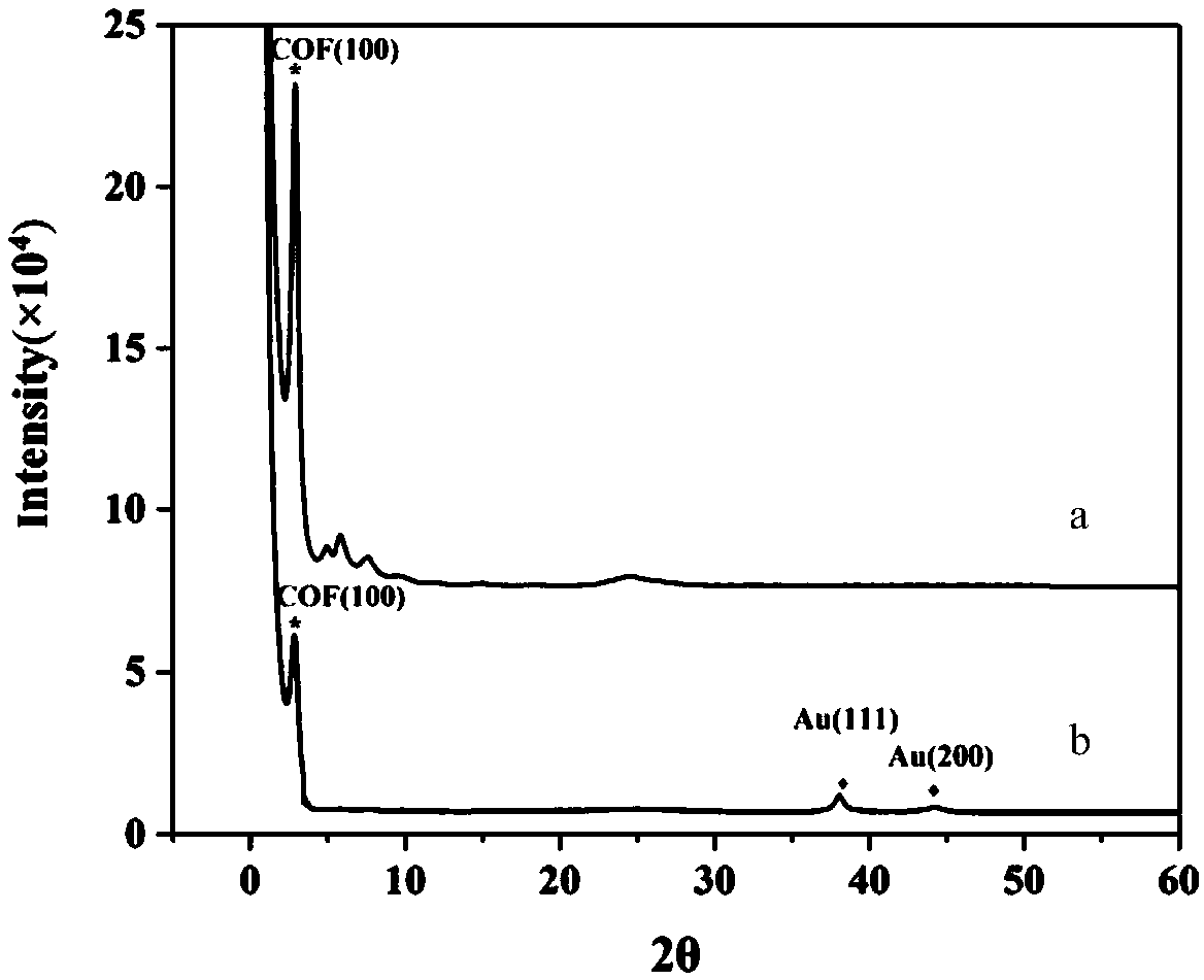 Aptamer modified triazine covalent organic framework composite material and preparation method and application thereof