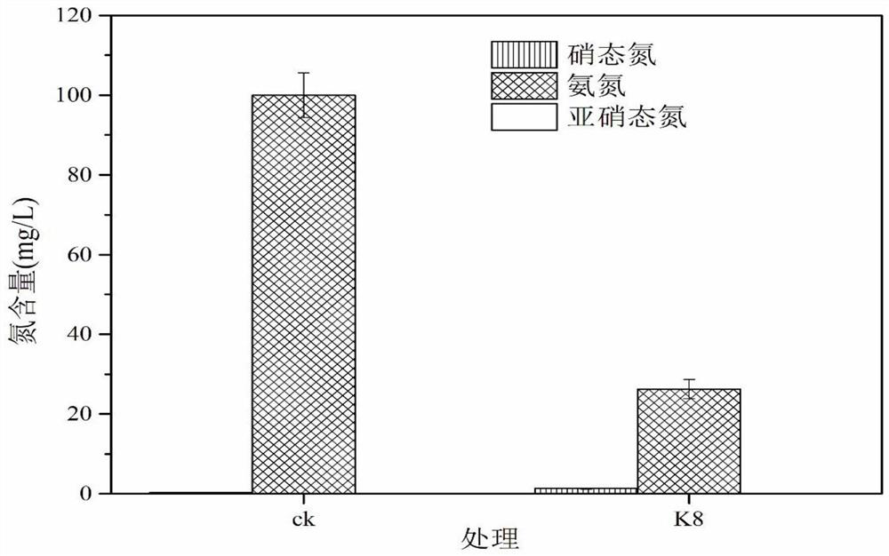 Synchronous nitrification and denitrification bacillus subtilis K8 and application thereof