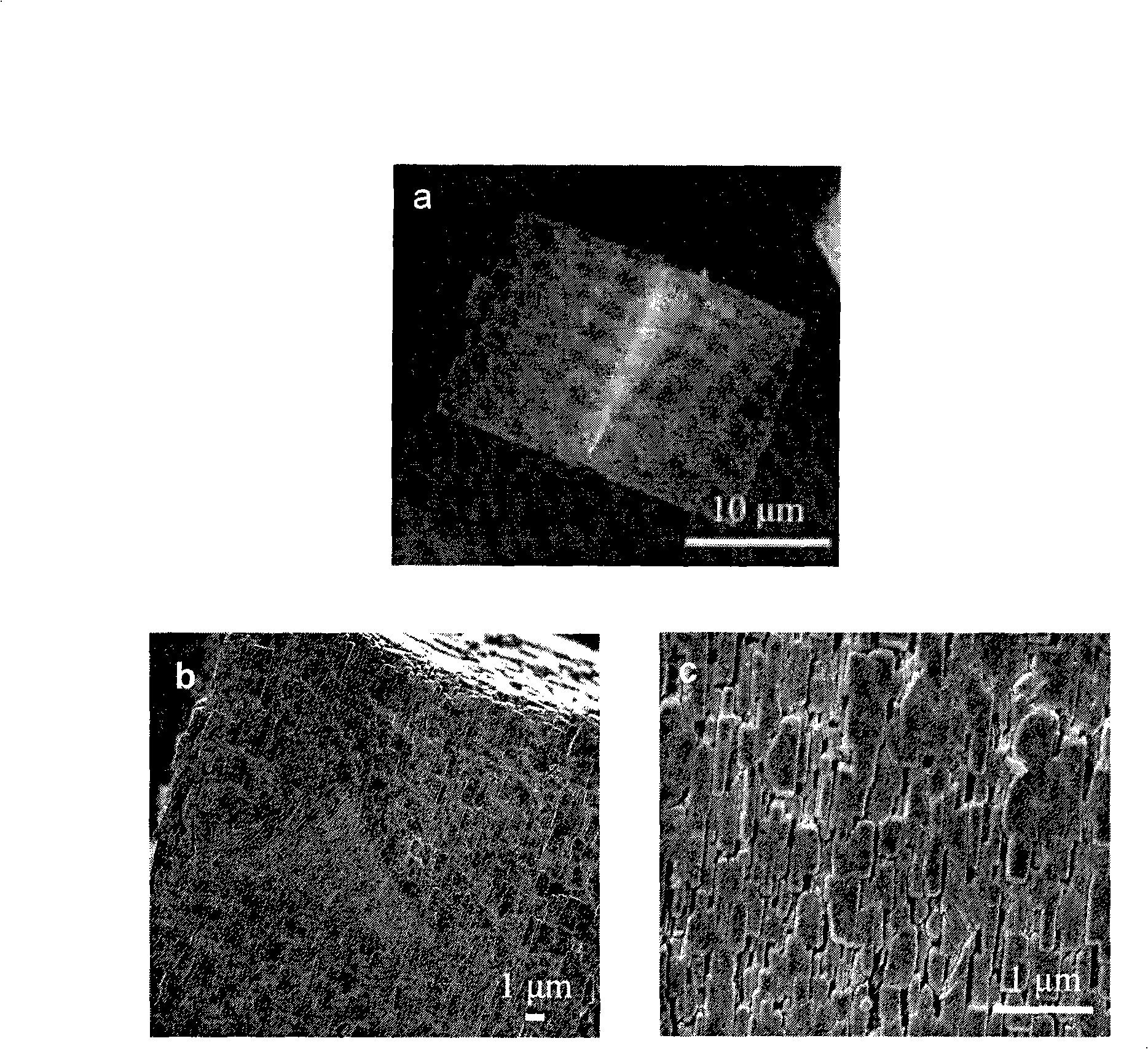 Method for preparing double-catalysis center molecular sieve nucleocapsid material with hydrothermal/solvent-thermal system