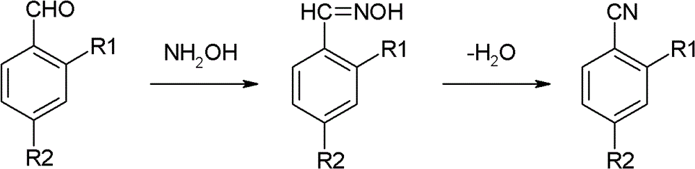 Preparation method of o(p)-hydroxybenzonitrile