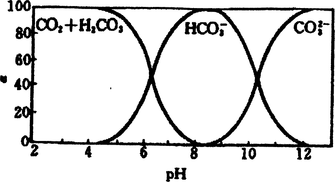 Industrial ultrapure water preparation process