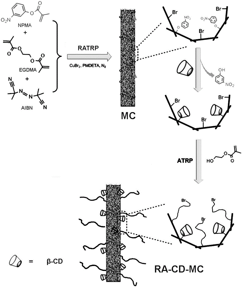 Restricted access type chiral chromatography MC (monolithic column) as well as preparation method and application thereof