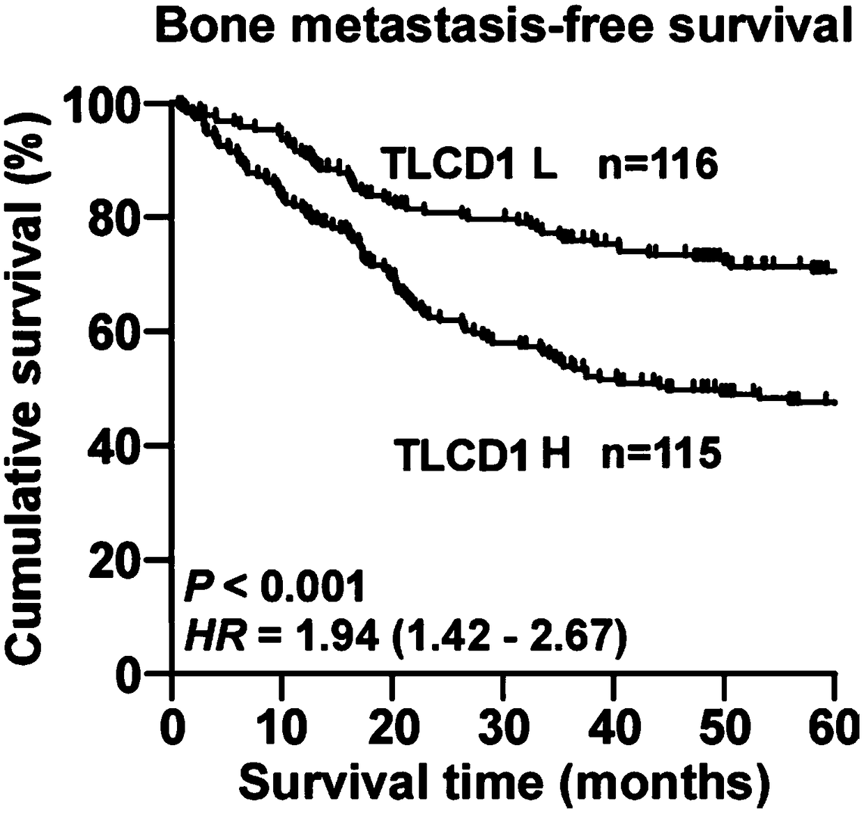 Application of TLCD1 to diagnosis, prognosis and treatment of BC (breast cancer) metastasis