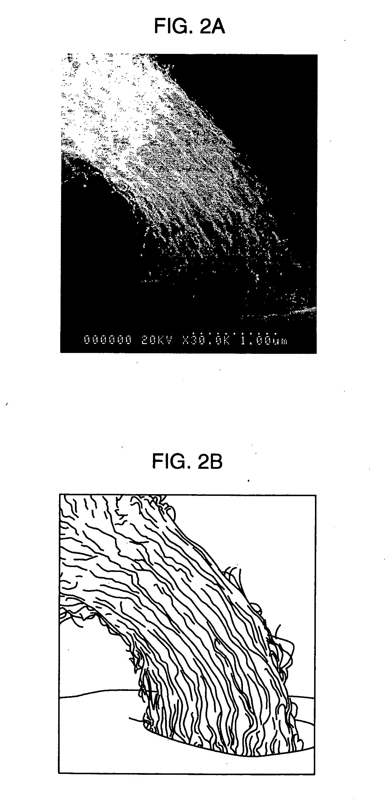 Carbon nanotube device and manufacturing method of the same