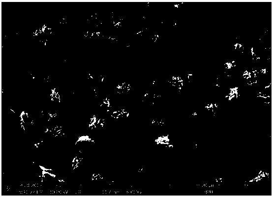 A kind of g-c3n4 supported cobalt oxide catalyst and preparation method thereof