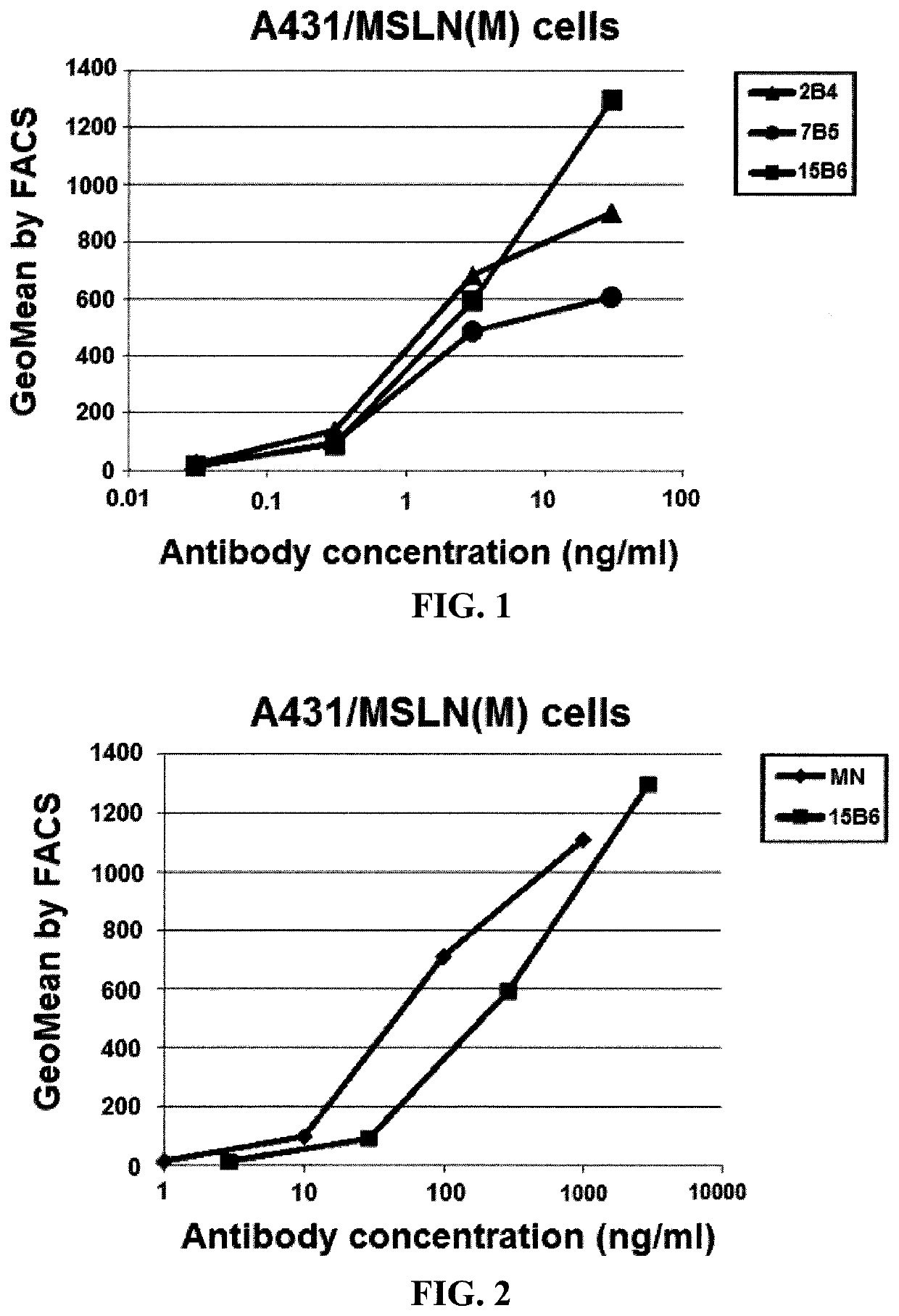 Anti-mesothelin polypeptides and proteins