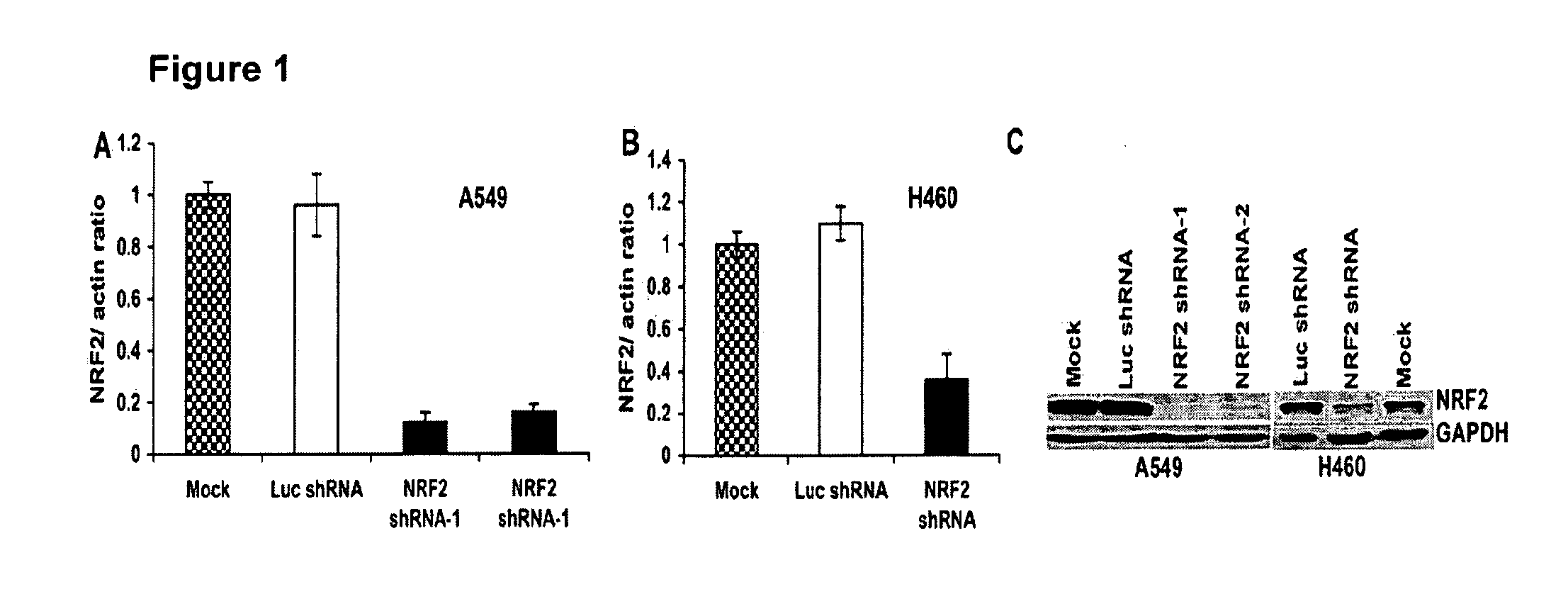 Methods and compositions for the treatment of cancer