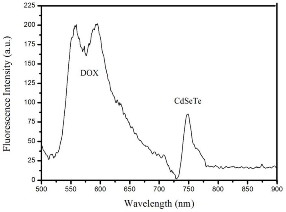 A Thermosensitive Liposome Released by Magnetothermal Release