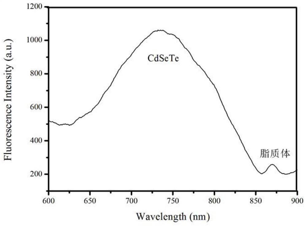 A Thermosensitive Liposome Released by Magnetothermal Release