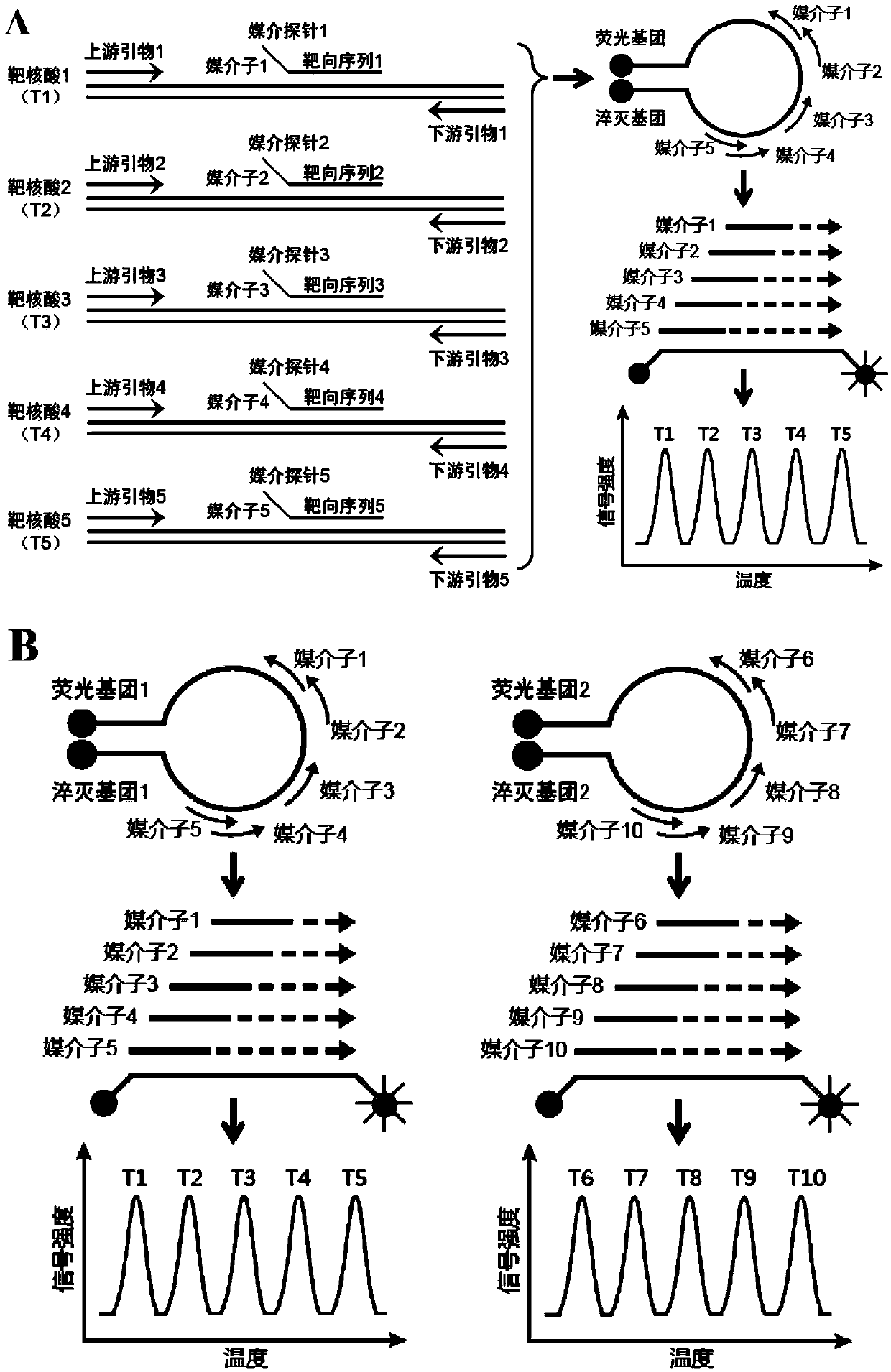 Detection method for antibiotic resistance genes