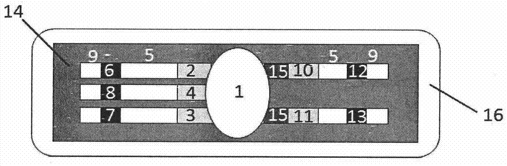 Portable type blood type system detection test paper and detection method thereof