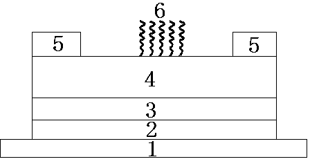 DNA biosensor and preparation method thereof