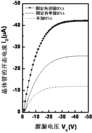 DNA biosensor and preparation method thereof