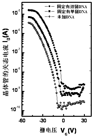 DNA biosensor and preparation method thereof