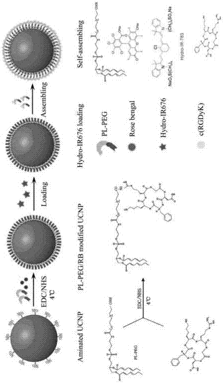 Substitution rate type coupling detection device for photodynamic response active oxygen and detection method thereof