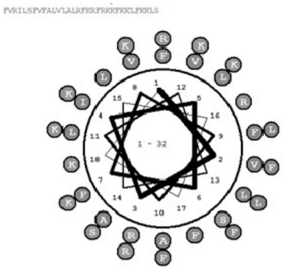 A kind of antimicrobial peptide and its prokaryotic expression method and application