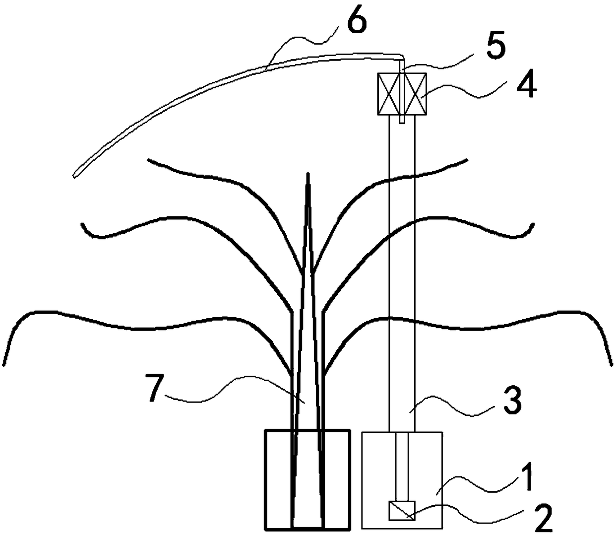 Planting method for improving quality of Lonicera japonica