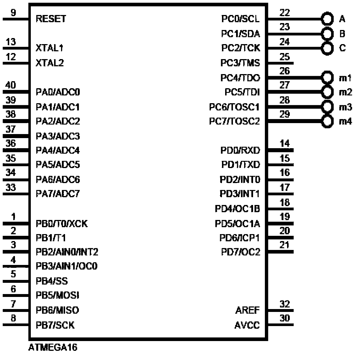 Quantitative detection device and detection method for spontaneous activity of living body