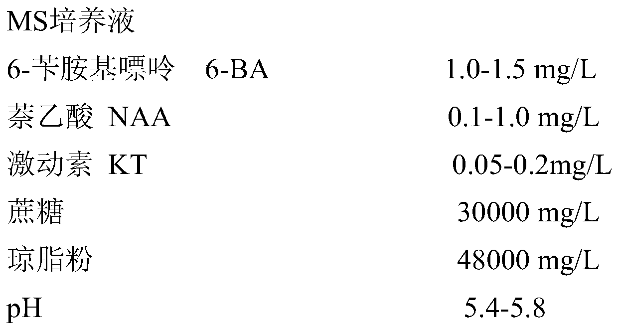 Dipixiao's propagation method