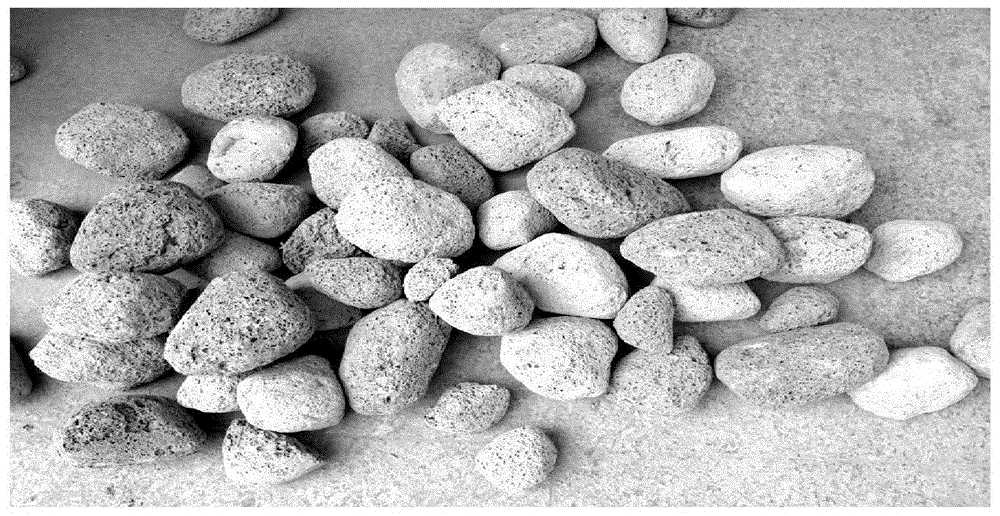 Construction method for ecological protection of vegetation on steep mountain slopes