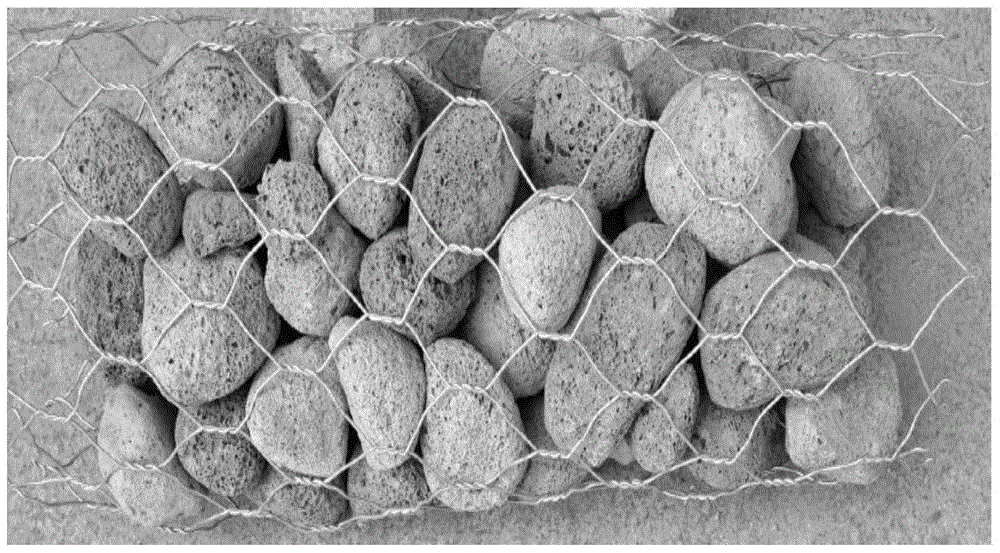 Construction method for ecological protection of vegetation on steep mountain slopes