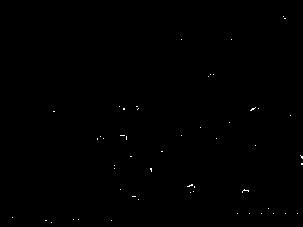 Preparation method of polyhedral composite nano-micelle