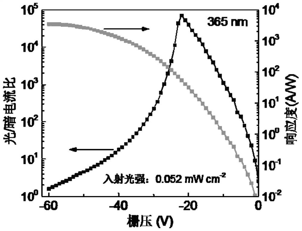 High performance organic transistor photodetector based on bulk heterojunction-layered structure