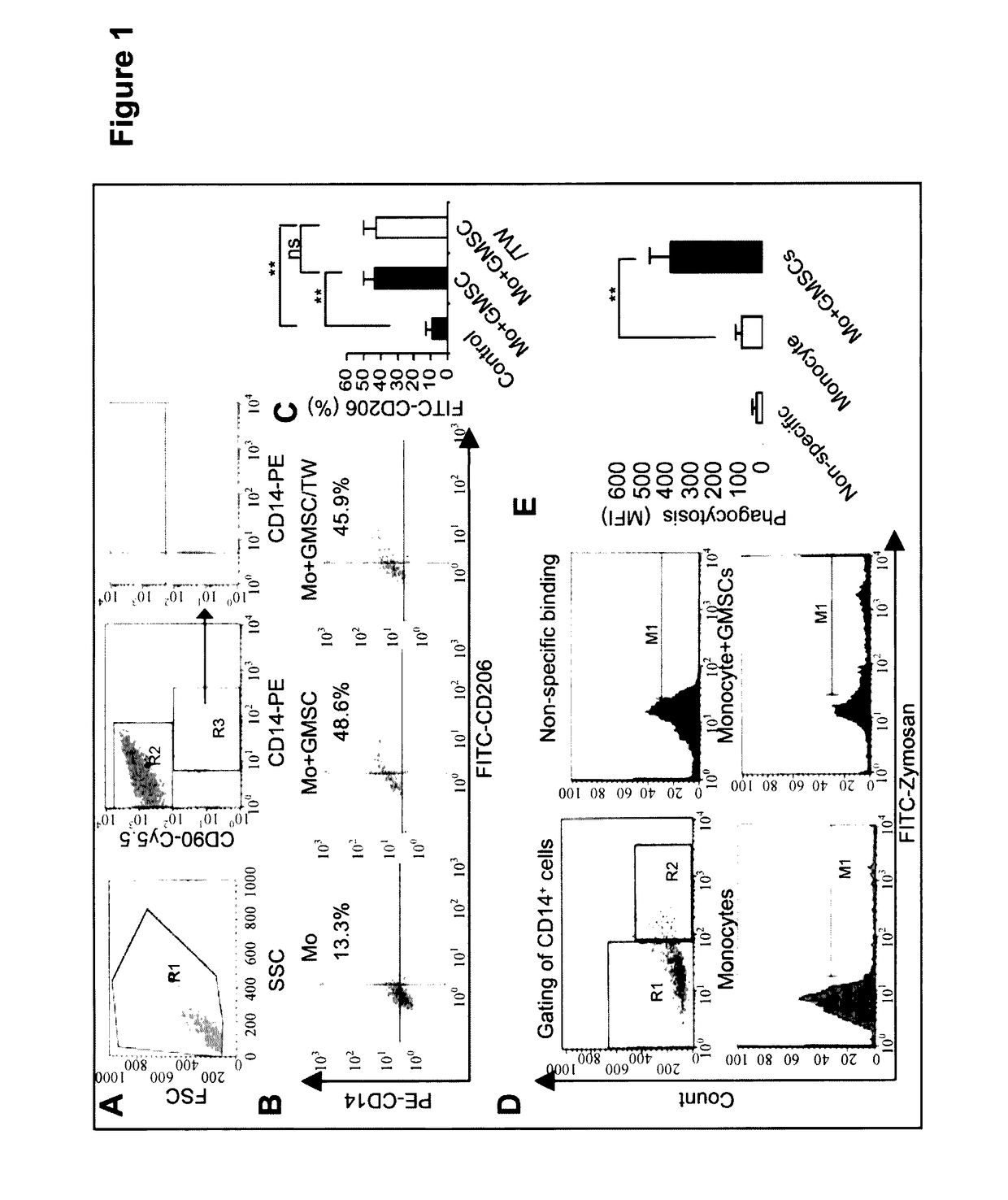 Methods of promoting wound healing and attenuating contact hypersensitivity with gingiva-derived mesenchymal stem cells