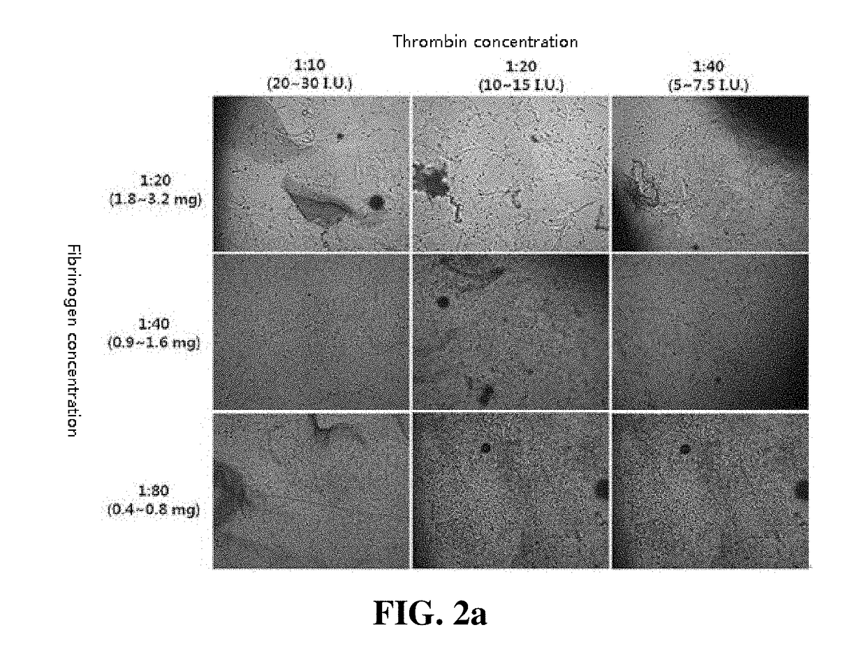 Composition containing mesenchymal stem cell-hydrogel and method for producing the composition