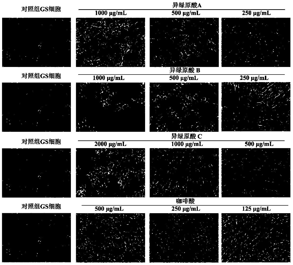 Organic acid inhibitor resistant to fish disease, and preparation method and application thereof