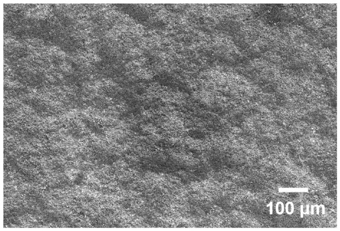 MB2-based ultrahigh-temperature ceramic coating and preparation method thereof