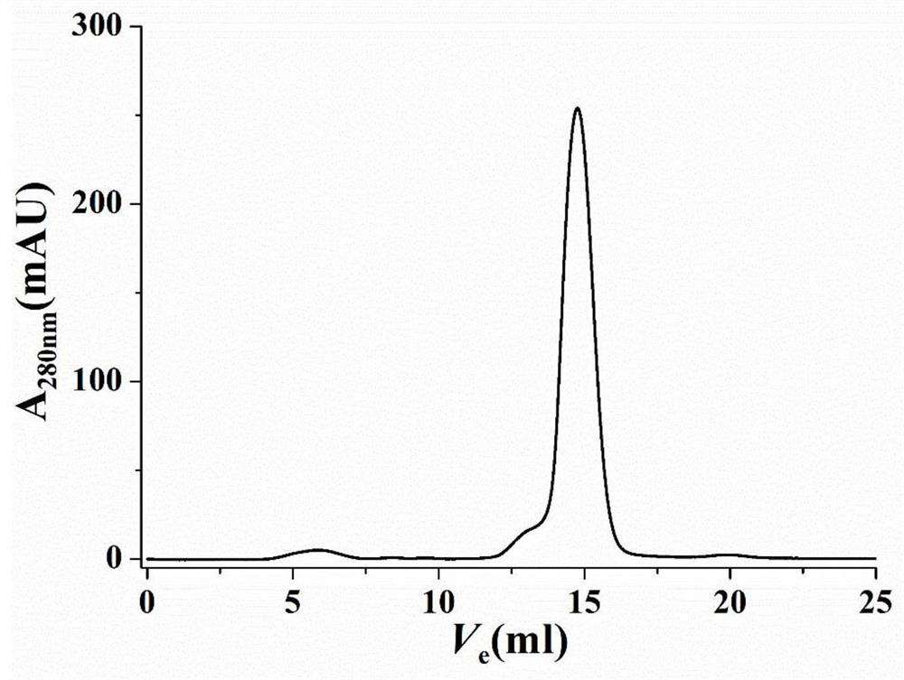 A kind of rice cryptochrome site-directed mutein and its construction method