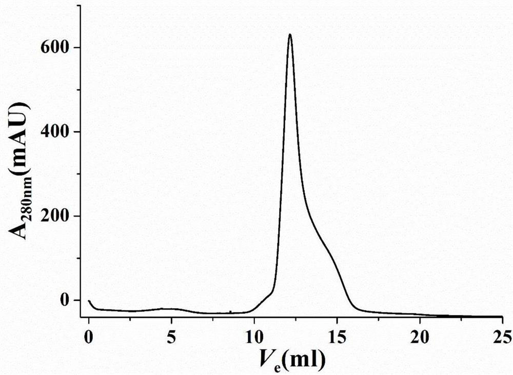 A kind of rice cryptochrome site-directed mutein and its construction method