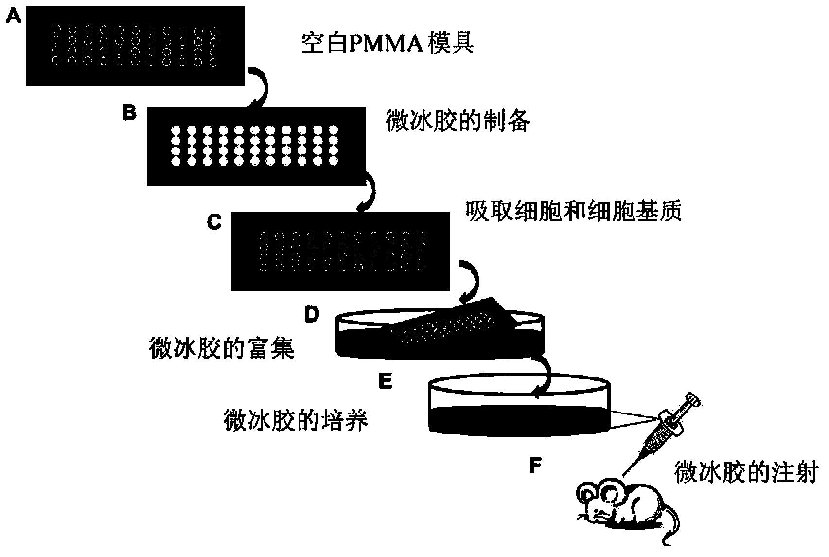 System and method for constructing injected three-dimensional cell microenvironment based on microfrozen gel