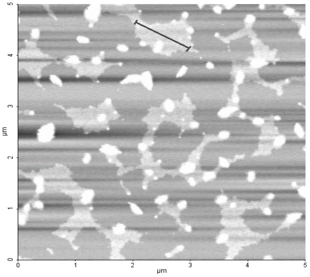 Method for preparing water-phase graphene dispersion liquid by employing ultrasonic stripping