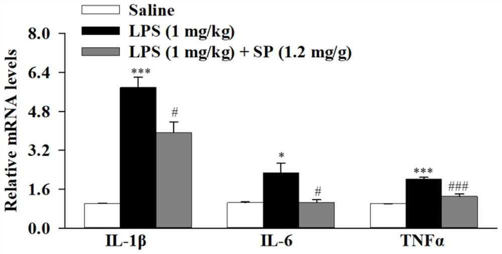 Application of sodium propionate in preparation of medicine for treating bronchopulmonary dysplasia