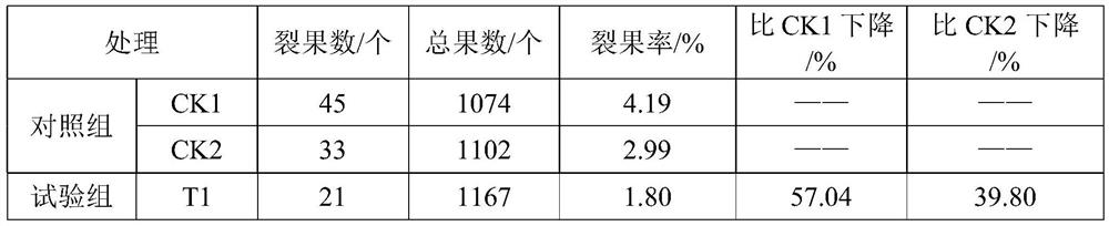 Ion retention agent, fruit cracking prevention water-soluble fertilizer and preparation method of water-soluble fertilizer