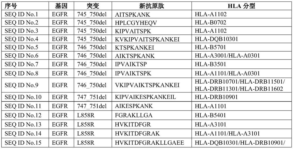 Novel antigen peptide composition and application thereof in tumor immunotherapy drugs