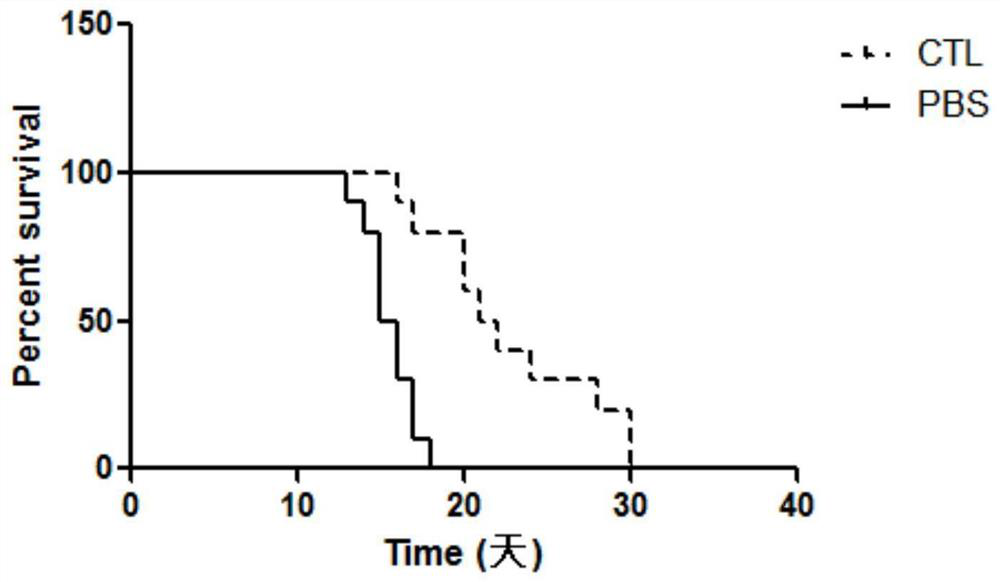 Novel antigen peptide composition and application thereof in tumor immunotherapy drugs