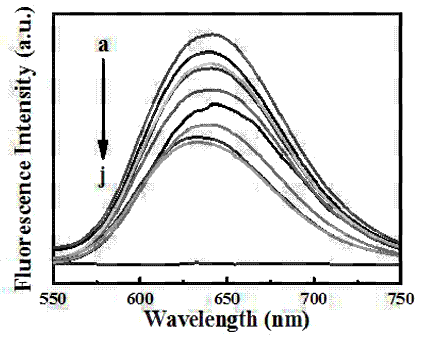 Detection method of iodine ions in urine based on alcohol solvent-induced silver nanocluster fluorescence enhancement