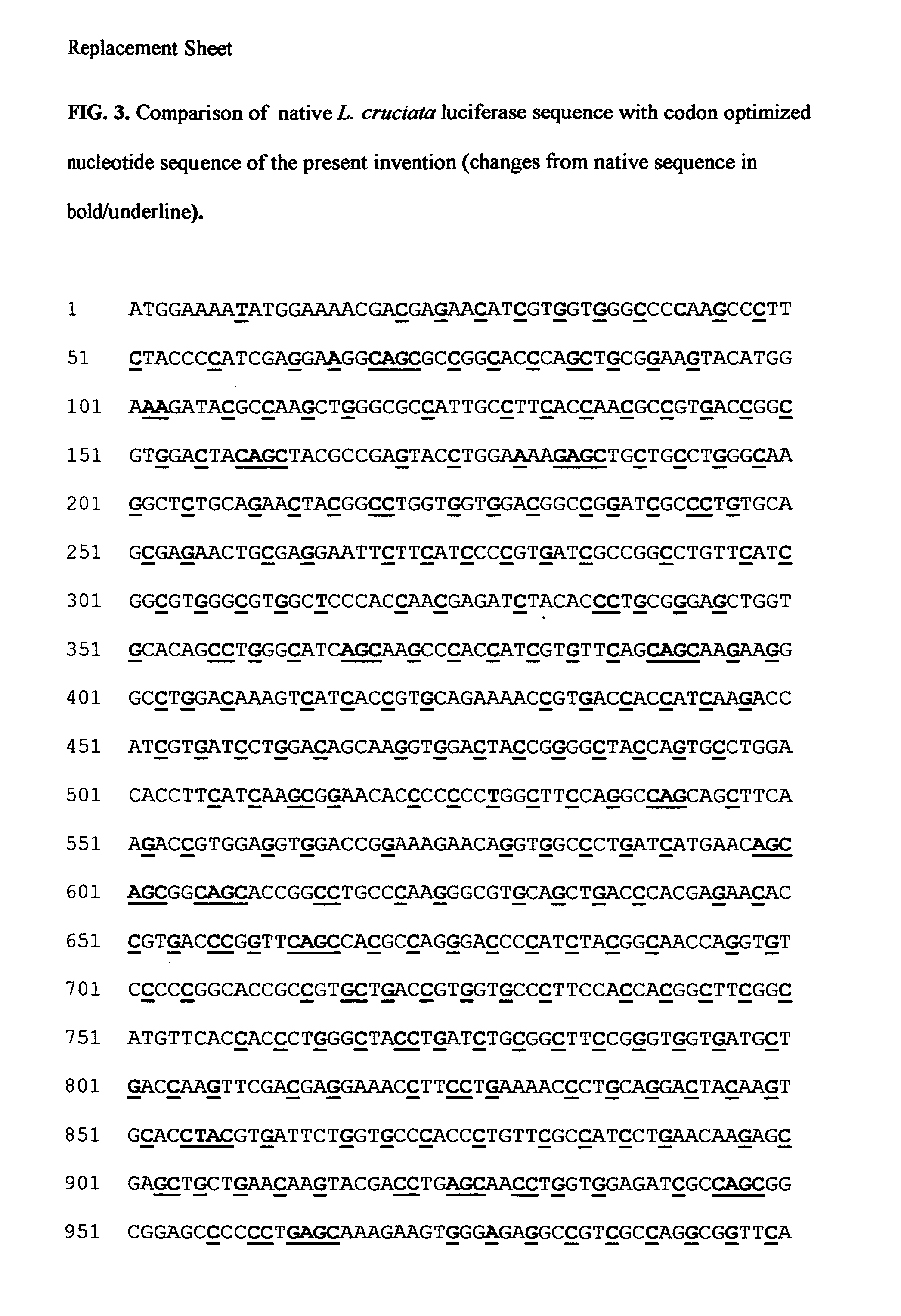 Synthetic luciferase gene and protein