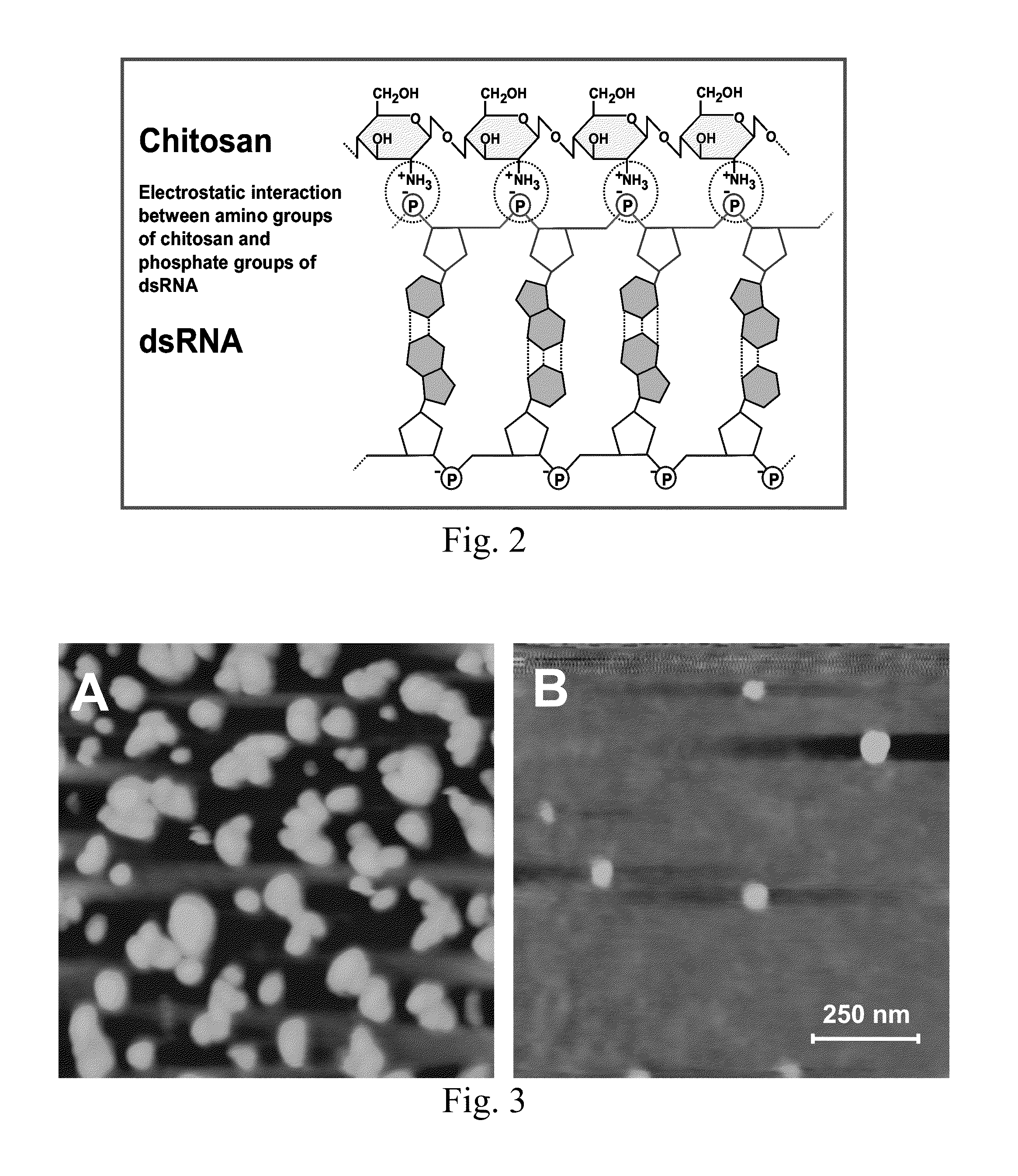 Double-stranded RNA-based nanoparticles for insect gene silencing