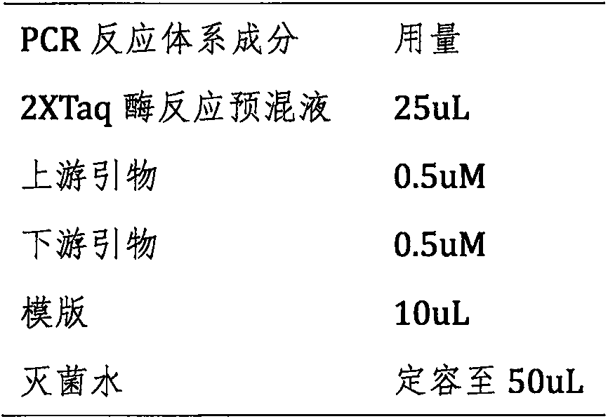 Monoclonal antibody for identifying monohydroxy phenolic compound as well as preparation method and application thereof