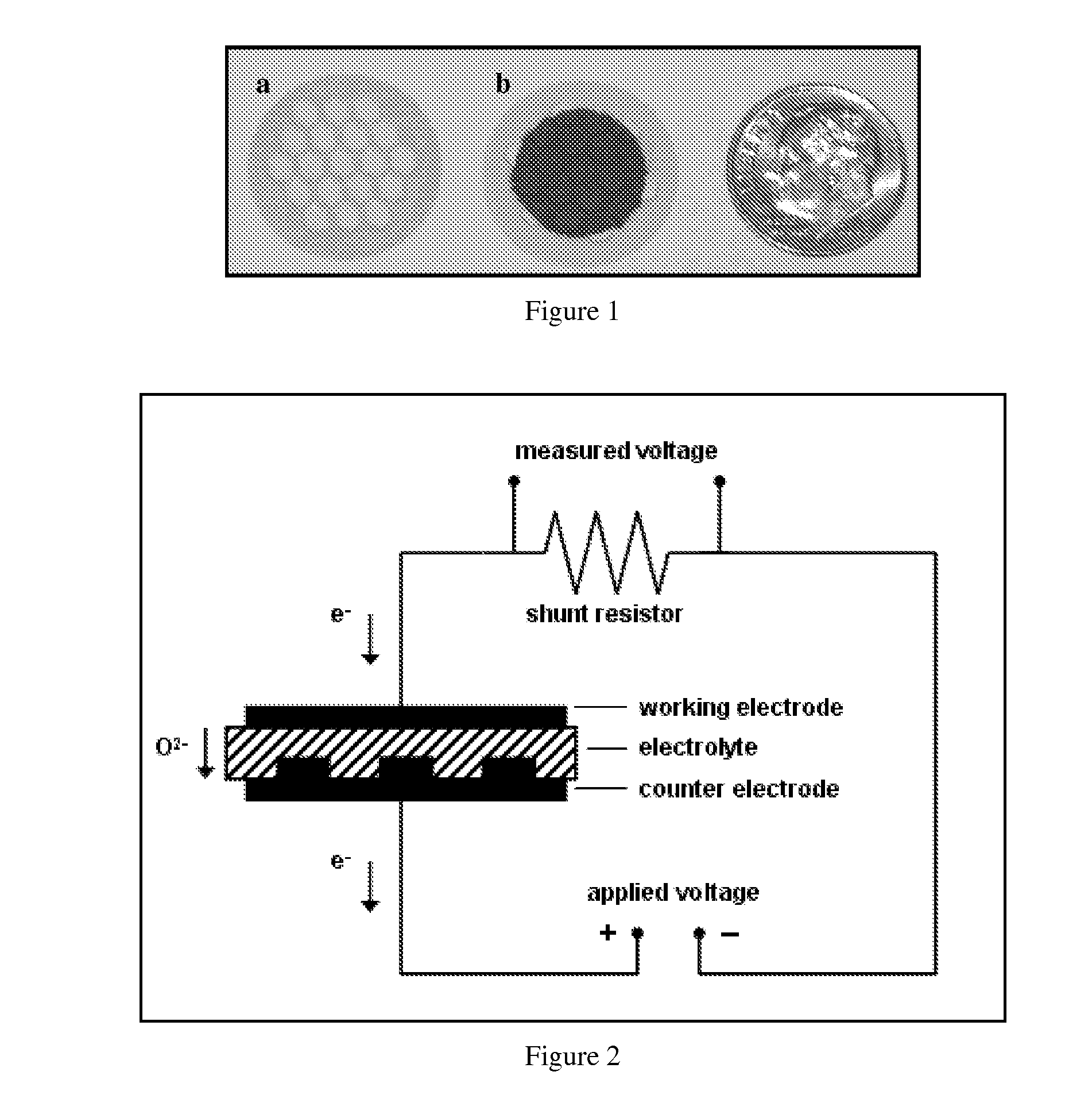 Amperometric Electrochemical Cells and Sensors