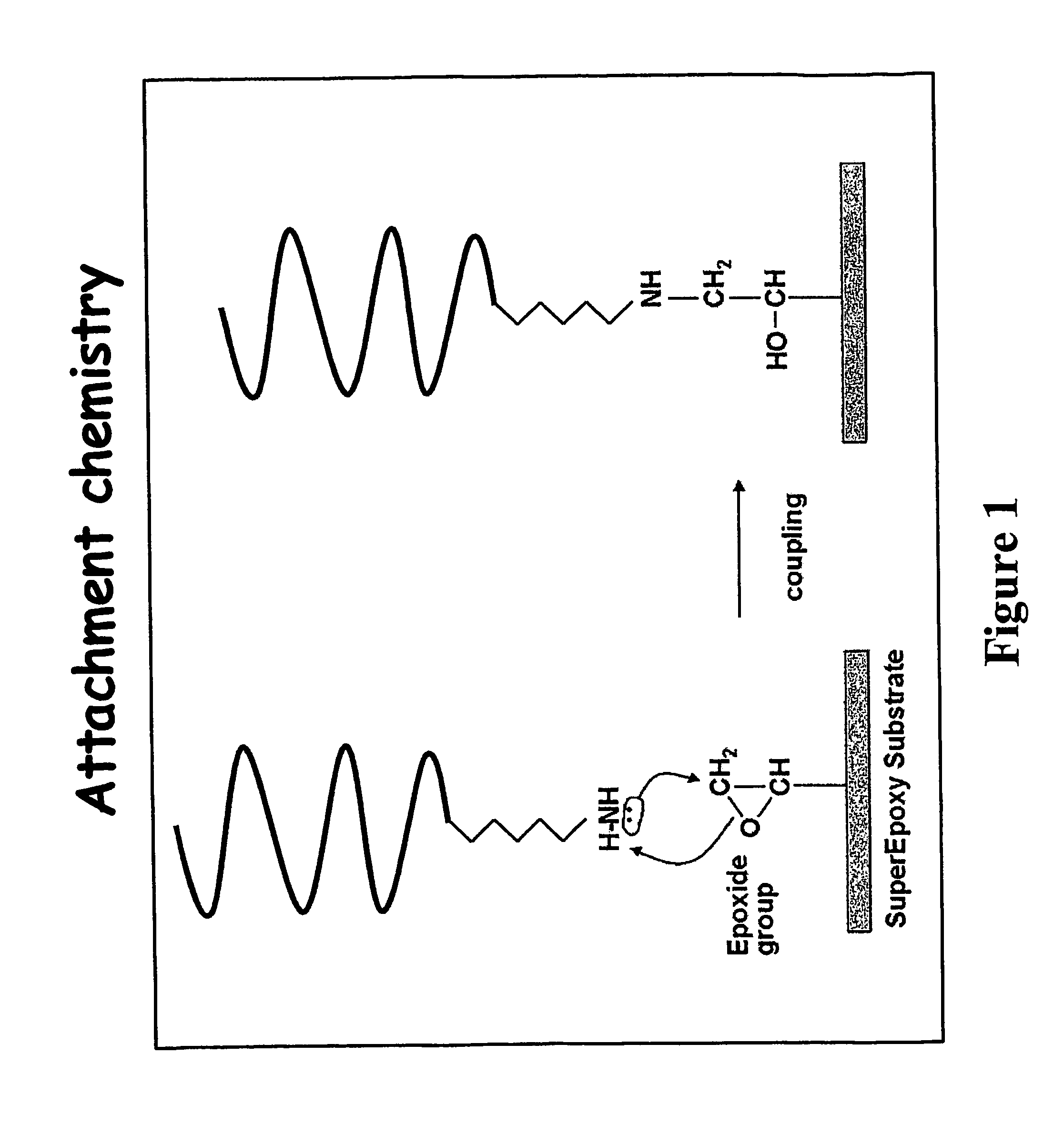 Genotyping of deafness by oligonucleotide microarray analysis