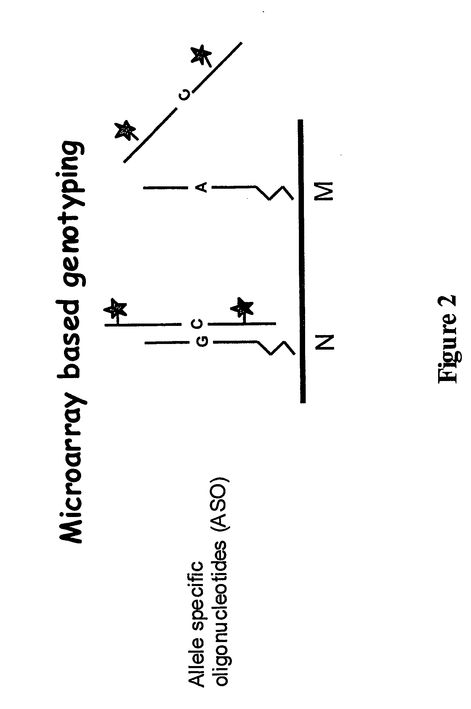 Genotyping of deafness by oligonucleotide microarray analysis